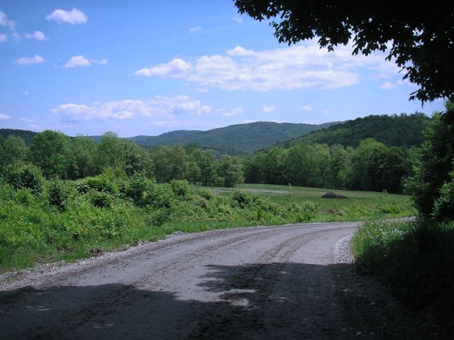 Newell Hill